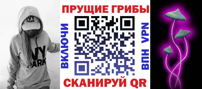Псилоцибиновые грибы Psilocybine cubensis  Вилючинск 